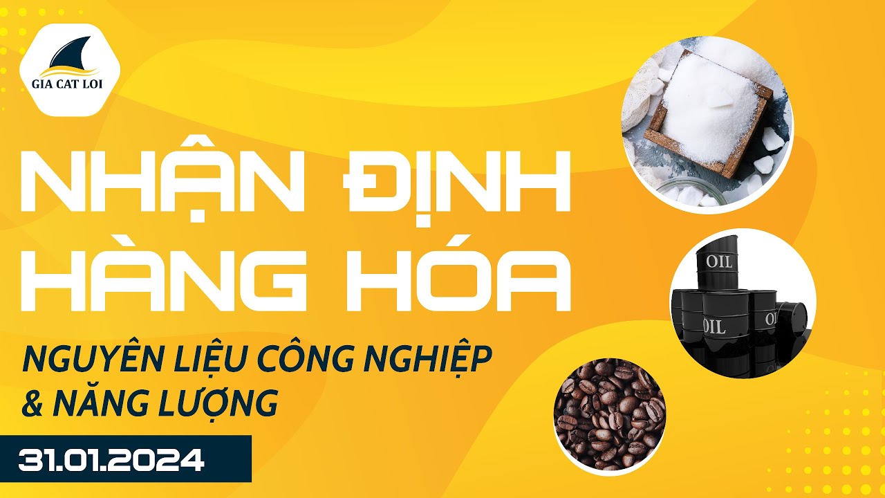 Nhận Định Hàng Hoá Năng Lượng & Nguyên Liệu Công Nghiệp Ngày 31/01/2024