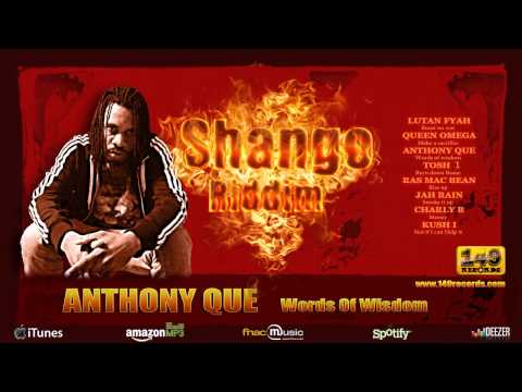 ANTHONY QUE "Words of Wisdom" - Shango Riddim (149 Records) - OFFICIAL VIDEO