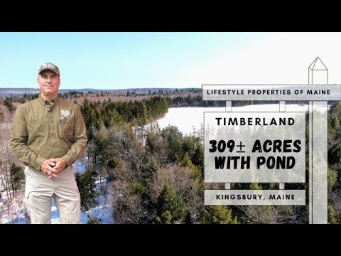 SOLD 309± Acres with Private Pond | Maine Real Estate