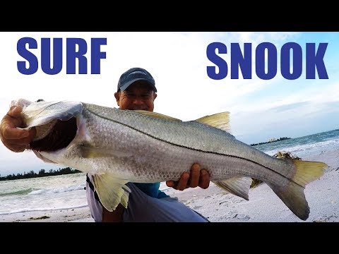 Fishing the Surf for Snook on YouTube