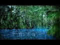 Sleep To Relaxing Raindrops Water Sounds