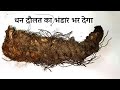 जिसके पास में होता है यह जड़ वह धनवान ब�