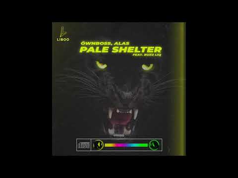 Ownboss, ALAS Ft. Buzz Liq - Pale Shelter (Original Mix)