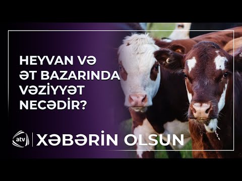Heyvan və ət bazarında vəziyyət necədir?