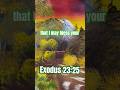a Healing Scripture | Exodus 23:25 #scripture #biblereading #christian #minister #biblical #exodus
