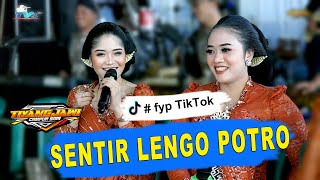 Download lagu PAMBUKO TJ MUSIC - SENTIR LENGO POTRO ❗❗ JAN PENAKE POLL - ASLI TJ MUSIC LO IKI mp3 Download lagu PAMBUKO TJ MUSIC - SENTIR LENGO POTRO ❗❗ JAN PENAKE POLL - ASLI TJ MUSIC LO IKI mp3
