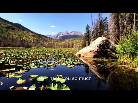 Predator Prey Dynamics: The Delicate Balance of Nature | Golden Age