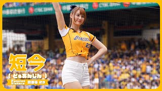 勝利卡農📣 短今（Sammie）Passion Sisters 中信兄弟啦啦隊  cheerleader 치어리더 臺中洲際棒球場 2024/4/14【台湾チアTV】