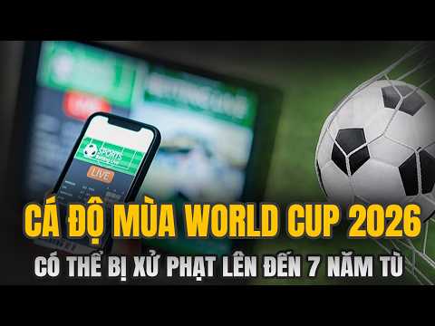 Cá Độ Bóng Đá Mùa World Cup: Đam Mê Nhất Thời, Trả Giá Cả Đời Bằng Án Tù Giam?
