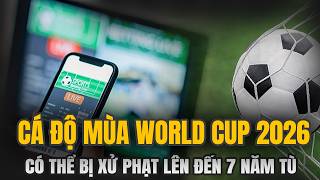 Cá Độ Bóng Đá Mùa World Cup: Đam Mê Nhất Thời, Trả Giá Cả Đời Bằng Án Tù Giam?
