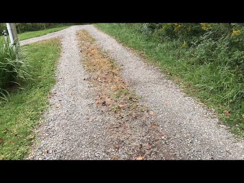 does “table salt” REALLY wipe out￼ weeds (sodium chloride) so simple