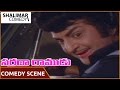 Sarada Ramudu Movie NTR And Jayasudha Hilarious Comedy Scene NTR Jayasudha Shalimarcomedy