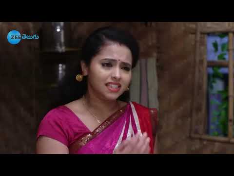 Rama Sakkani Seeta - రామ సక్కని సీత - Telugu Serial - EP - 307 - Nanda Kishore - Zee Telugu