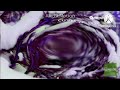 I Killed Trinitas TV Ident 2022 December