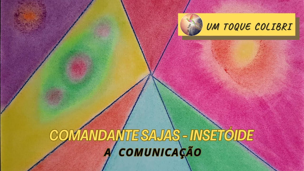 MENSAGEM COMANDANTE SAJAS  - INSETÓIDE  - A COMUNICAÇÃO  - 10 - 12- 2024