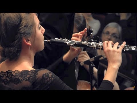 Morricone – Gabriel's Oboe from The Mission, Maja Łagowska – oboe, conducted by Andrzej Kucybała