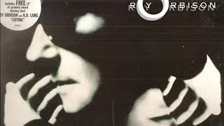 Roy Orbison ~ Windsurfer