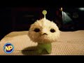Dicky Gets A New Pet CJ7 2008 Now Playing
