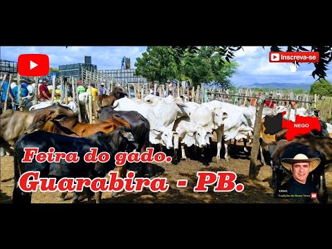 CURRAIS CHEIOS HOJE NA FEIRA DO GADO DE GUARABIRA - PB. ✅09/10/2025✅