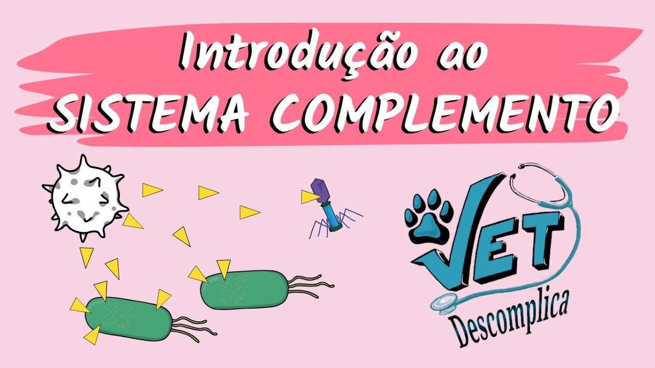Introdução ao Sistema Complemento Veterinário