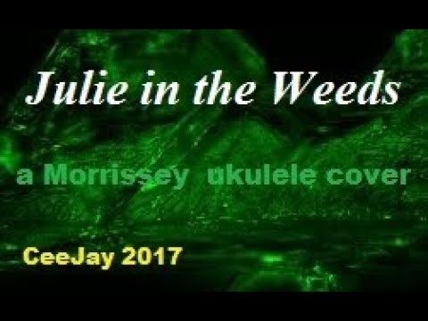 Julie In The Weeds - Morrissey