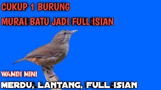 Download lagu wambi mini paling gacor full materi mp3