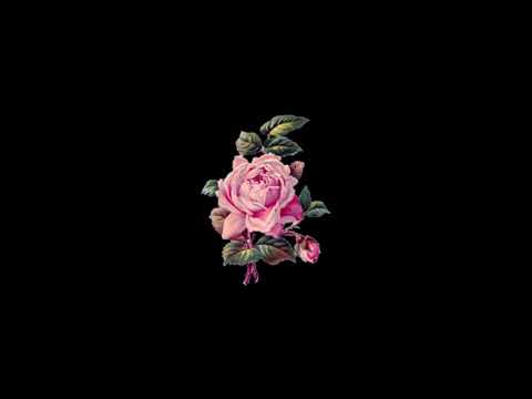 (FREE) Drake x Migos x Cardi B Type Beat - Tango | Free Latin Trap Instrumental 2019