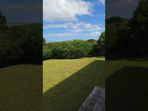 San Antonio, Rocha Uruguay even in retirement there are chores