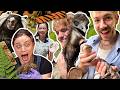 Smosh Finally Learns Animals w/ @AlveusSanctuary DEFAULT Thumbnail