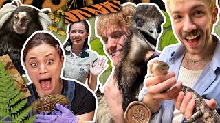 Smosh Finally Learns Animals w/ @AlveusSanctuary MQDEFAULT Thumbnail