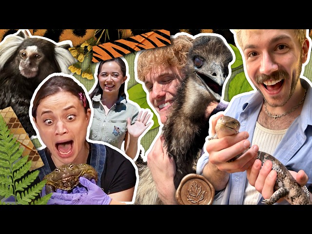 Smosh Finally Learns Animals w/ @AlveusSanctuary SDDEFAULT Thumbnail