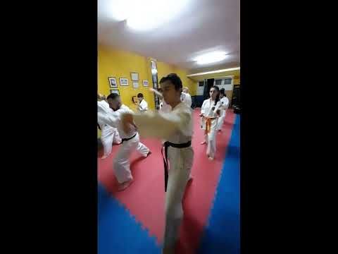 kumite bunkai parte 1 kata gekisai dai ichi Goju Ryu