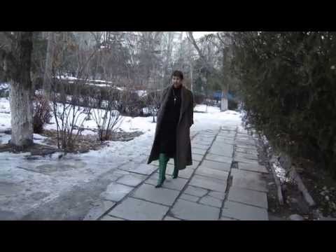 Nina in Stiefel (Boots, High-Heel) - #0082