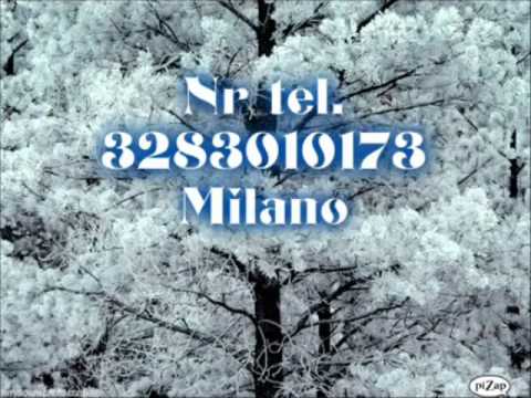 Lautari Milano Max Timis de la Borsa - Eu cant pentru tine draga lume