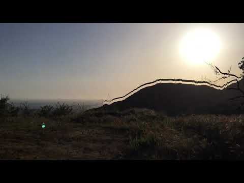 Fractal Beef - Gobi (Official Video)