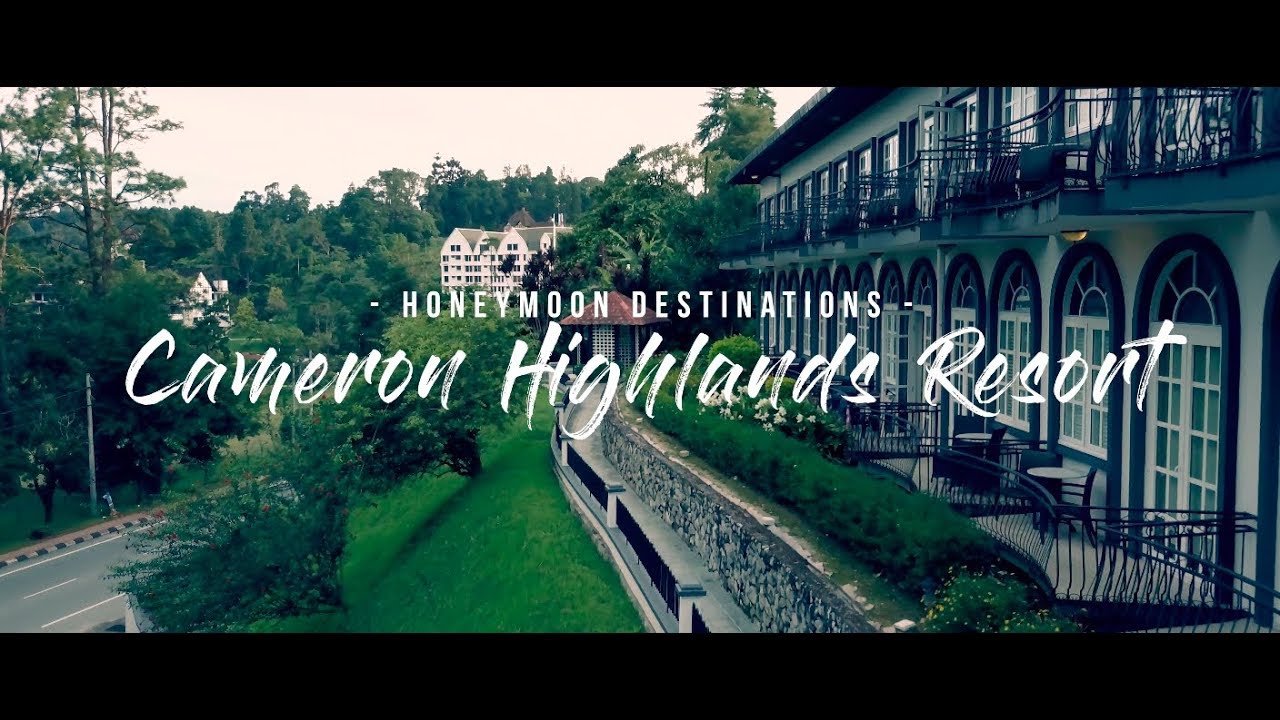 [4K] Top 7 Things to Do in Cameron Highlands, Malaysia | Honeymoon Destinations