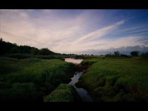 Gareth Emery - Pictures of you ft. Terry Ferminal