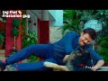 Venkatesh Comedy Scenes With Dog F2 Movie Thamanna Varun Dog Funny Video In F2 Mehreen