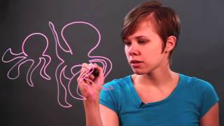 How to Draw Realistic Tentacles