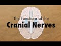 The Functions of the Cranial Nerves - MEDZCOOL