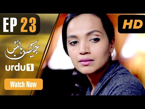 Jackson Heights - Episode 23 | Urdu 1 Dramas | Aamina...