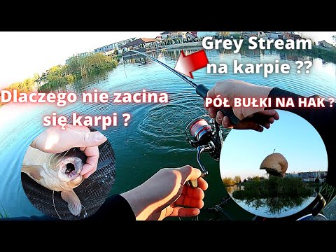 PÓŁ BUŁKI NA HAK czyli ŁOWIENIE Z POWIERZCHNI  *znikające pieczywo*