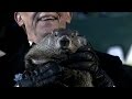 Groundhog Day 2015: Six More Weeks of Winter.