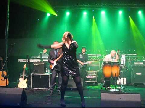 Novi Fosili - Djeca Ljubavi