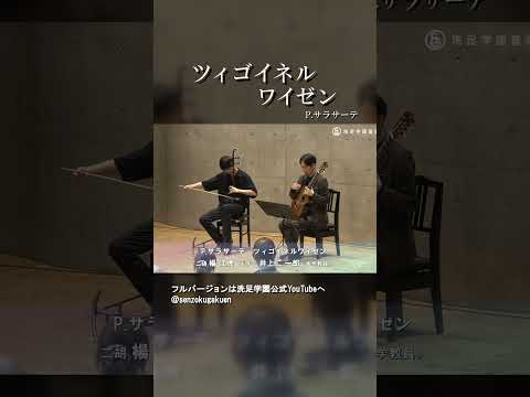 ツィゴイネルワイゼン
