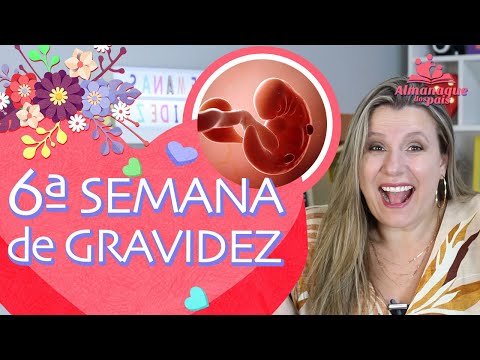 6ª SEMANA DE GESTAÇÃO | Sintomas, como está o bebê, o corpo da mamãe | 1º TRIMESTRE DE GRAVIDEZ