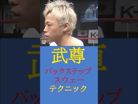 武尊の“攻撃をもらわない”テクニックがつまった試合