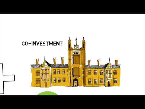 How your levy is invested (CORN)