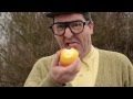 Mein Epflbom (Mein Freund der Baum) 