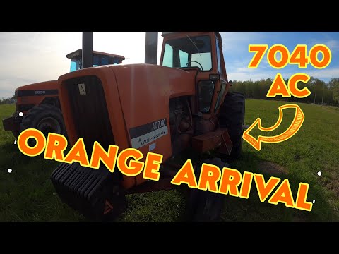 ORANGE Arrival: ALLIS-CHALMERS 7040 shows up